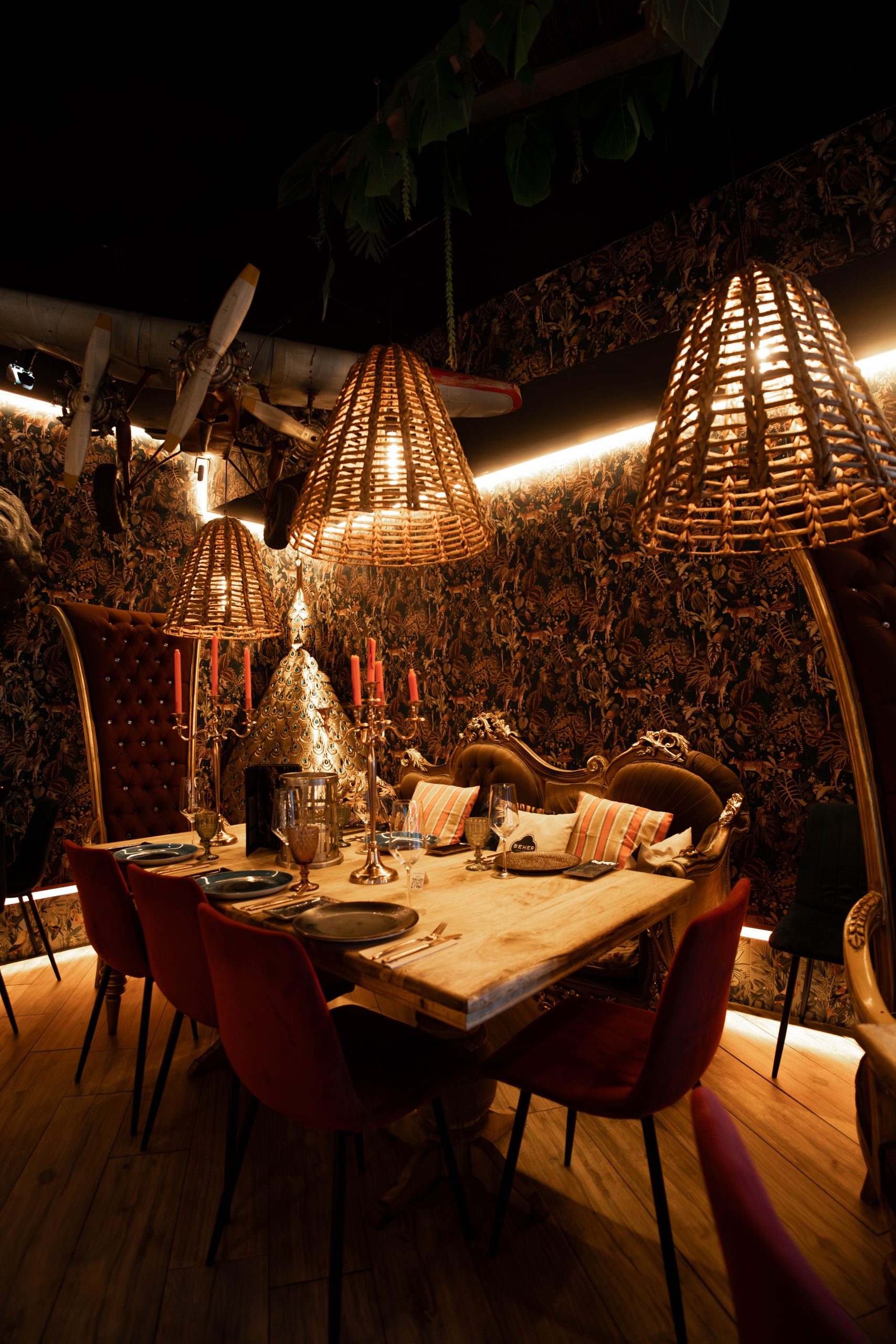 Cámara de maduración Selvática